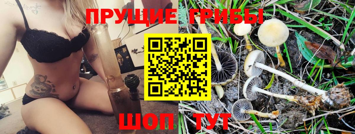 магазин продажи   Псилоцибиновые грибы Psilocybe  Вход с VPN  Артёмовский 
